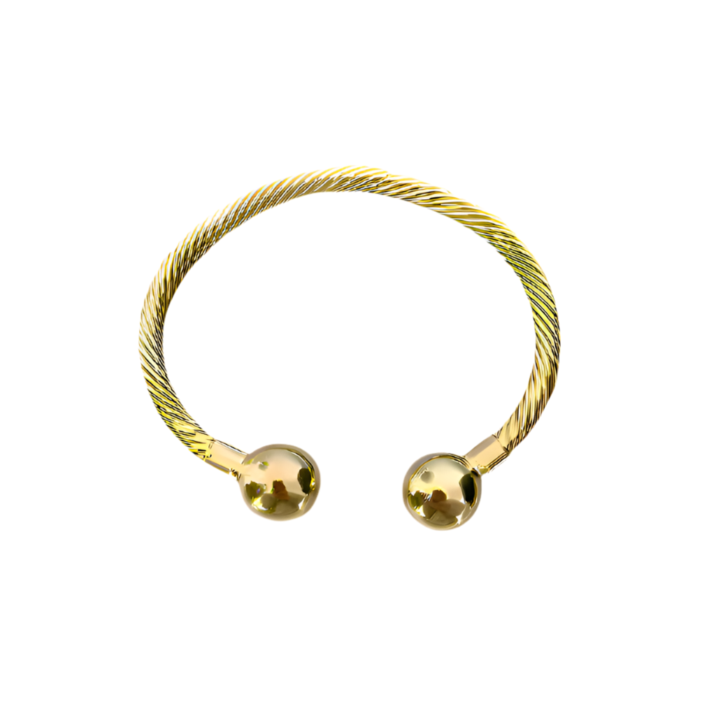 Zion spiral bangles